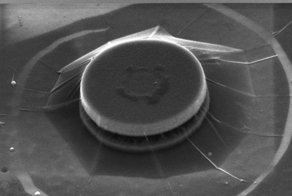 MoS2 on GaN Microdisk