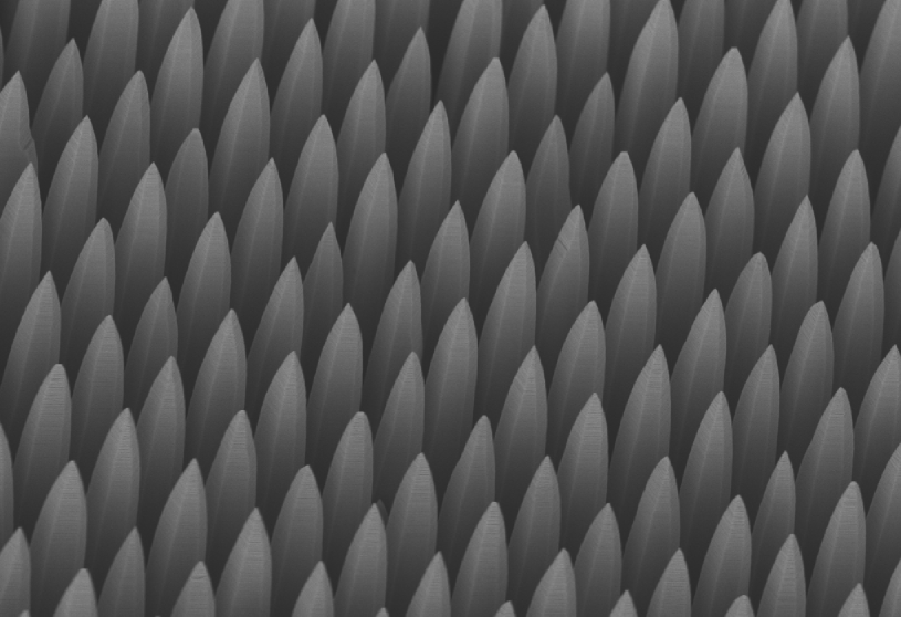 zno_array2.png